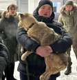 Em Ulan-Ude, na Sibéria, 18 cachorros de rua foram abatidos pelas autoridades na última semana, o que levou ativistas a reagir  Foto: BBC News Brasil