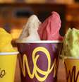 Momo Gelato  Foto: Wagner Meier