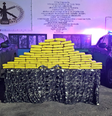 Mais de 70 tabletes de maconha e duas armas de fogo foram apreendidas durante operação. Dupla tinha mais de 20 passagens criminais.   Foto: Reprodução/Gefron