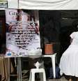 Conforme o levantamento, mulheres e negras são a maioria das vítimas  Foto: Tânia Rêgo/Agência Brasil