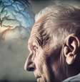 Para detectar Alzheimer, é preciso verificar placas amiloides e proteína tau no cérebro — será possível, em breve, testar isso por exame de sangue (Imagem: Atlascompany/Freepik)  Foto: Canaltech