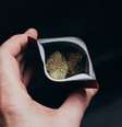 Para gerar o efeito zumbi, a droga Kush tem cannabis e fentanil (Imagem: Wirestockc/Envato)  Foto: Canaltech