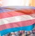 A desinformação direcionada à comunidade LGBTQIA+ é uma das "mais presentes e consistentes na União Europeia"  Foto: iStock/Cunaplus_M.Faba