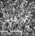 Atlético-MG e Cruzeiro com torcida única   Foto: Pedro Souza / Atlético / Esporte News Mundo