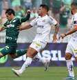 Palmeiras enfrenta o Santos visando manter invencibilidade na temporada.   Foto: Cesar Greco/Palmeiras / Esporte News Mundo
