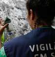 Veja iniciativas que podem ajudar Brasil no combate à dengue  Foto: Fernando Frazão/Agência Brasil