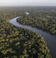 Floresta amazônica  Foto: Foto: Istock