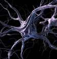 Primeiro chip da Neuralink, fundada por Elon Musk, foi implantado no cérebro de paciente com paralisia (Imagem: iLexx/Envato Elements)  Foto: Canaltech