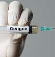 Vacina da dengue começará a ser aplicada pelo SUS em fevereiro  Foto: iStock