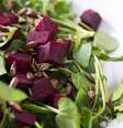 Legumes para comer diariamente  Foto: Shutterstock / Sport Life