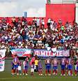 Bahia   Foto: Divulgação/bahia / Esporte News Mundo