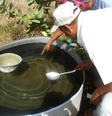 Além da vacina, as pessoas devem evitar criadouros do mosquito da dengue (Imagem: Aref AlAhmadi/CDC)  Foto: Canaltech