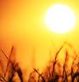 Onda de calor extrema devido ao aquecimento global.   Foto: Foto: Istock