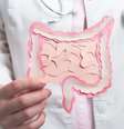 Entenda como ter um intestino saudável no Carnaval  Foto: Shutterstock / Alto Astral
