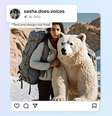 Meta vai aplicar selos em imagens geradas por inteligência artificial  Foto: Meta/Divulgação