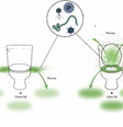 Vírus e bactérias escapam do vaso mesmo com a tampa fechada (Imagem: Gerba et al, 2024/American Journal of Infection Control)  Foto: Canaltech