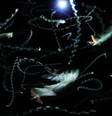 Uma fotografia de exposição múltipla mostra insetos circulando em torno de uma luz à noite: sem a referência natural, eles procuram algo similar  Foto: Samuel Fabian/CC BY-ND / BBC News Brasil