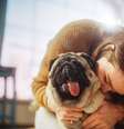 Cães de pequeno a médio porte se adaptam melhor a espaços menores  Foto: Gorodenkoff | Shutterstock / Portal EdiCase