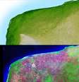 A cratera de Chicxulub, na península de Yucatán, mostrada em imagens infravermelhas (Imagem: Shuttle Radar Topography Mission/Domínio Público)  Foto: Canaltech