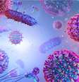 A raiva é transmitida para as pessoas pela saliva de mamíferos infectados  Foto: Corona Borealis Studio | Shutterstock / Portal EdiCase