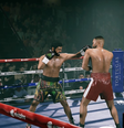 Com mais de 50 lutadores licenciados, Undisputed está disponível em acesso antecipado para PC, mas chegará ainda este ano para PlayStation e Xbox  Foto: PLAION / Divulgação