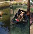  Foto: Divulgação / Parque Zoológico / Porto Alegre 24 horas