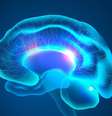 Garoto de 13 anos sobrevive a agressivo tumor cerebral (Imagem: Rawpixel)  Foto: Canaltech