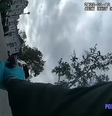 Policial se assusta com fruta, dispara arma e atinge viatura nos EUA  Foto: Reprodução/Polícia de Okaloosa