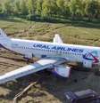 A presença do Airbus A320 está impedindo o plantio do grão, causando prejuízo ao dono da fazenda.  Foto: Divulgação 