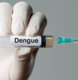Posso tomar a vacina contra dengue e receber reembolso do plano de saúde  Foto: Sou Mais Bem Estar