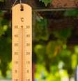 Os processos biológicos necessários à vida funcionam melhor a 20 ºC — acima disso, todos os seres passam a sofrer mais com o calor (Imagem: Ladanifer/Envato)  Foto: Canaltech