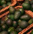 Veja o que o avocado pode fazer por sua saúde  Foto: Freepik/Divulgação / Boa Forma