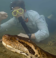 Cientista e apresentador de televisão holandês, Freek Vonk esteve na Amazônia e junto com outros pesquisadores descobriu o que afirma ser uma nova espécie de sucuri.  Foto: Reprodução/Instagram
