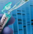 Pesquisa CRISPR no laboratório  Foto: Bill Oxford