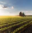 A agropecuária tem como principal objetivo a produção de alimentos  Foto: fotokostic / iStock