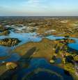 Pantanal é um dos seis biomas brasileiros e já foi até tema de novela  Foto: LeoMercon / iStock