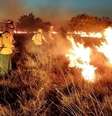 Roraima registrou em fevereiro quase 30% dos focos de calor em todo o país  Foto: Brigadas Indígenas/Reprodução / Perfil Brasil