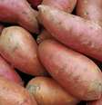 Veja os benefícios de incluir a batata  Foto: doce na alimentação -  Shutterstock / Alto Astral
