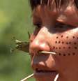 A crise humanitária na TI Yanomami veio à tona em janeiro de 2023  Foto: Divulgação: EBC/TV Brasil