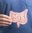 Exame para câncer de intestino deve ser feito mesmo sem sintomas; entenda  Foto: Shutterstock / Saúde em Dia