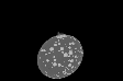 Simulação dos primeiros 30 minutos do asteroide Dimorphos após a colisão da DART (Imagem: Reprodução/S. D. Raducan (UNIBE)  Foto: Canaltech