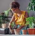 Cuidar corretamente do jardim evita a proliferação do Aedes aegypti  Foto: Likoper | Shutterstock / Portal EdiCase