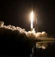Foguete SpaceX Falcon 9 transportando a espaçonave Dragon é lançado na missão SpaceX Crew-8 da Nasa para a Estação Espacial Internacional  Foto: NASA/Aubrey Gemignani