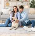 É importante garantir que o animal receba cuidados após as férias  Foto: Prostock-studio | Shutterstock / Portal EdiCase