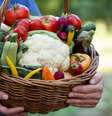 O consumo de legumes é importante para o bom funcionamento do corpo  Foto: PhotoIris2021 | Shutterstock / Portal EdiCase