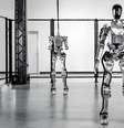 Robôs humanóides com IA incorporada, da Figure AI   Foto: Divulgação