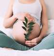 Simpatias para conseguir engravidar  Foto: Shutterstock / João Bidu