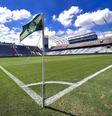(  Foto: Divulgação Palmeiras / Esporte News Mundo