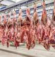 Foram concedidas 38 habilitações, incluindo oito abatedouros de frango, 24 abatedouros de bovinos, um estabelecimento bovino de termoprocessamento e cinco entrepostos  Foto: Mapa/govbr / Perfil Brasil