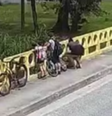 Mulher joga próprio cachorro de ponte na frente dos filhos em SC  Foto: Reprodução/PCSC